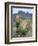 Spanish Dagger in Blossom Below Crown Mountain, Chihuahuan Desert, Big Bend National Park, Texas-Scott T. Smith-Framed Photographic Print