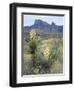 Spanish Dagger in Blossom Below Crown Mountain, Chihuahuan Desert, Big Bend National Park, Texas-Scott T. Smith-Framed Photographic Print