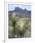 Spanish Dagger in Blossom Below Crown Mountain, Chihuahuan Desert, Big Bend National Park, Texas-Scott T. Smith-Framed Photographic Print