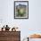 Spanish Dagger in Blossom Below Crown Mountain, Chihuahuan Desert, Big Bend National Park, Texas-Scott T. Smith-Framed Photographic Print displayed on a wall