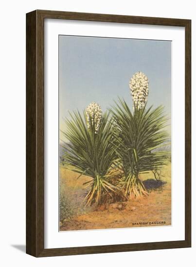 Spanish Daggers, Yuccas-null-Framed Art Print