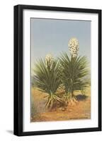 Spanish Daggers, Yuccas-null-Framed Art Print