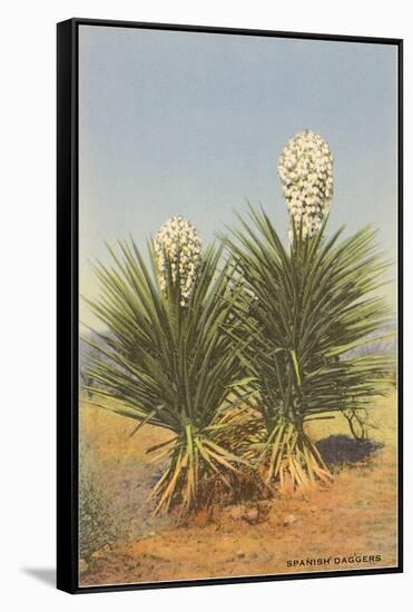 Spanish Daggers, Yuccas-null-Framed Stretched Canvas