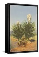 Spanish Daggers, Yuccas-null-Framed Stretched Canvas