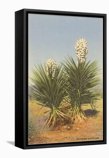 Spanish Daggers, Yuccas-null-Framed Stretched Canvas