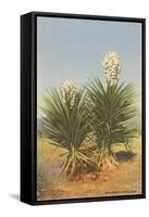 Spanish Daggers, Yuccas-null-Framed Stretched Canvas