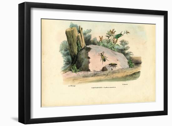 Spanish Fly, 1863-79-Raimundo Petraroja-Framed Giclee Print