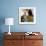 Spanish Girl Watching Horse-Back Feria Procession, Tarifa, Andalucia, Spain, Europe-Giles Bracher-Framed Photographic Print displayed on a wall