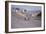 Spanish Grand Prix, Jarama, Madrid, 1968-null-Framed Photographic Print