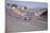 Spanish Grand Prix, Jarama, Madrid, 1968-null-Mounted Photographic Print