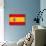 Spanish Grunge Flag. A Flag Of Spain With A Texture-TINTIN75-Art Print displayed on a wall