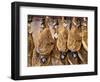 Spanish Hams Hanging in a Restaurant Bodega, Seville, Andalusia, Spain, Europe-Guy Thouvenin-Framed Photographic Print