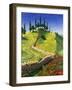 Spanish Hill Top, 1992-Trevor Neal-Framed Giclee Print