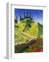 Spanish Hill Top, 1992-Trevor Neal-Framed Giclee Print