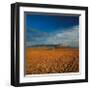 Spanish Landscape I-Bill Philip-Framed Giclee Print