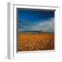 Spanish Landscape I-Bill Philip-Framed Giclee Print