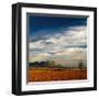 Spanish Landscape II-Bill Philip-Framed Giclee Print