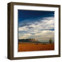 Spanish Landscape II-Bill Philip-Framed Giclee Print