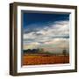 Spanish Landscape II-Bill Philip-Framed Giclee Print