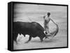 Spanish Matador Antonio Ordonez Executing Left Handed Pass Called "Pase Natural" During Bullfight-Loomis Dean-Framed Stretched Canvas