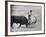 Spanish Matador Antonio Ordonez Executing Left Handed Pass Called "Pase Natural" During Bullfight-Loomis Dean-Framed Premium Photographic Print