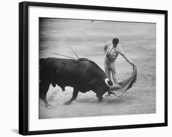 Spanish Matador Antonio Ordonez Executing Left Handed Pass Called "Pase Natural" During Bullfight-Loomis Dean-Framed Premium Photographic Print