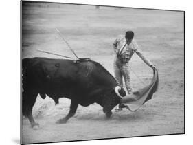 Spanish Matador Antonio Ordonez Executing Left Handed Pass Called "Pase Natural" During Bullfight-Loomis Dean-Mounted Premium Photographic Print