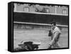 Spanish Matador, Antonio Ordonez Prepares to Kill the Charging Bull During Bullfight-Loomis Dean-Framed Stretched Canvas