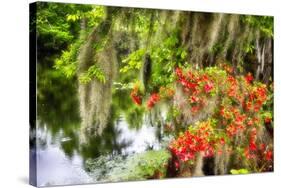 Spanish Moss and Azalea, South Carolina-George Oze-Stretched Canvas