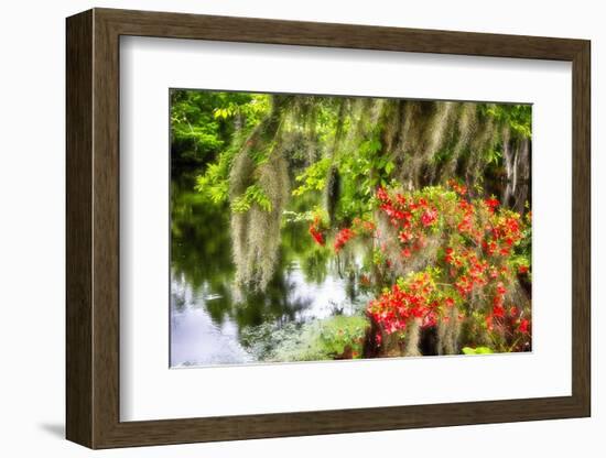 Spanish Moss and Azalea, South Carolina-George Oze-Framed Photographic Print