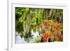 Spanish Moss and Azalea, South Carolina-George Oze-Framed Photographic Print