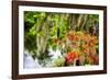 Spanish Moss and Azalea, South Carolina-George Oze-Framed Photographic Print