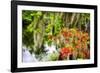 Spanish Moss and Azalea, South Carolina-George Oze-Framed Photographic Print