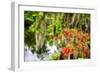 Spanish Moss and Azalea, South Carolina-George Oze-Framed Photographic Print