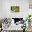Spanish Moss and Azalea, South Carolina-George Oze-Stretched Canvas displayed on a wall