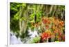 Spanish Moss and Azalea, South Carolina-George Oze-Framed Photographic Print