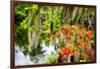 Spanish Moss and Azalea, South Carolina-George Oze-Framed Photographic Print