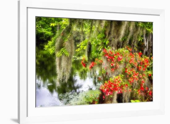 Spanish Moss and Azalea, South Carolina-George Oze-Framed Photographic Print