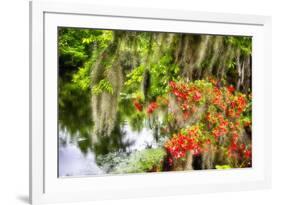 Spanish Moss and Azalea, South Carolina-George Oze-Framed Photographic Print