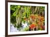 Spanish Moss and Azalea, South Carolina-George Oze-Framed Photographic Print