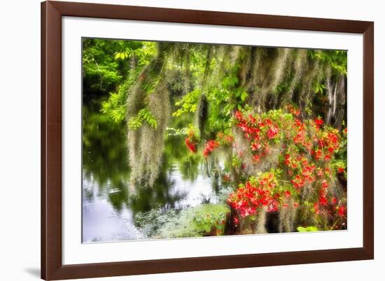 Spanish Moss and Azalea, South Carolina-George Oze-Framed Photographic Print