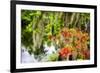 Spanish Moss and Azalea, South Carolina-George Oze-Framed Photographic Print