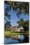 Spanish moss covered tree and plantation house, Charleston, South Carolina.-Michael DeFreitas-Mounted Photographic Print