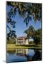 Spanish moss covered tree and plantation house, Charleston, South Carolina.-Michael DeFreitas-Mounted Photographic Print