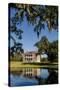 Spanish moss covered tree and plantation house, Charleston, South Carolina.-Michael DeFreitas-Stretched Canvas