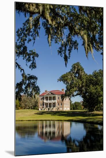 Spanish moss covered tree and plantation house, Charleston, South Carolina.-Michael DeFreitas-Mounted Photographic Print