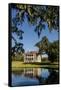 Spanish moss covered tree and plantation house, Charleston, South Carolina.-Michael DeFreitas-Framed Stretched Canvas