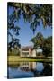 Spanish moss covered tree and plantation house, Charleston, South Carolina.-Michael DeFreitas-Stretched Canvas