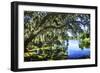 Spanish Moss I-Alan Hausenflock-Framed Photographic Print