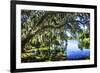 Spanish Moss I-Alan Hausenflock-Framed Photographic Print